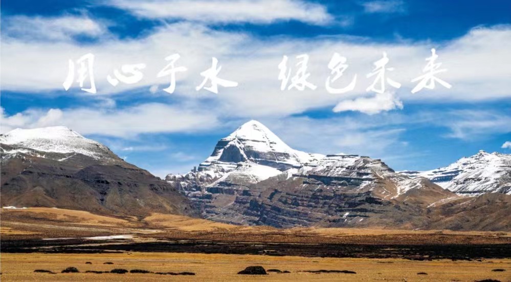 发展历程